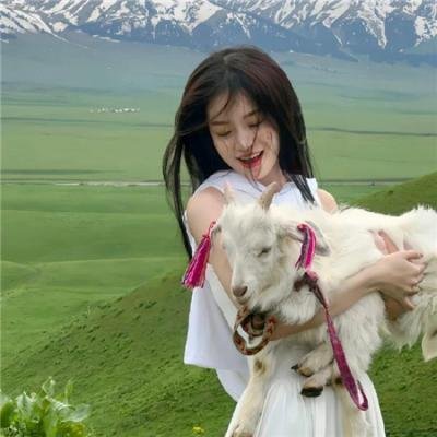 蜡笔小新:谜团!花之天下春日部学院